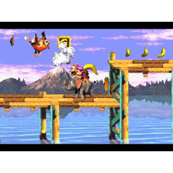 Donkey Kong Country 3 - Gameboy Advance - Solo El Juego