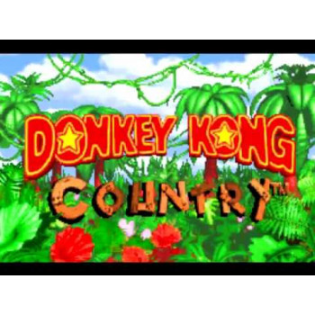 Donkey Kong Country - Gameboy Advance - Solo El Juego