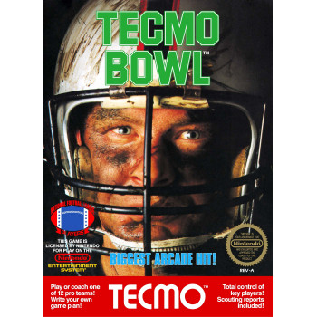 Original Nintendo Nes Tecmo Bowl - Cart