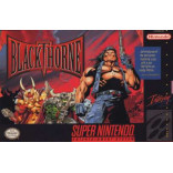 Super Nintendo Blackthorne Pre-Played - SNES