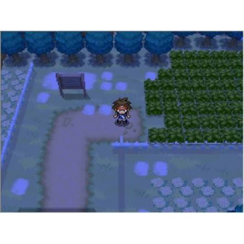 Pokemon Negro Versión 2 Nintendo DS